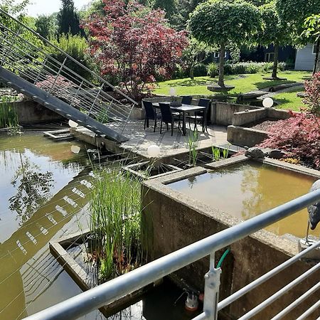 Ferienwohnung Sternenwald 阿尔夫 外观 照片