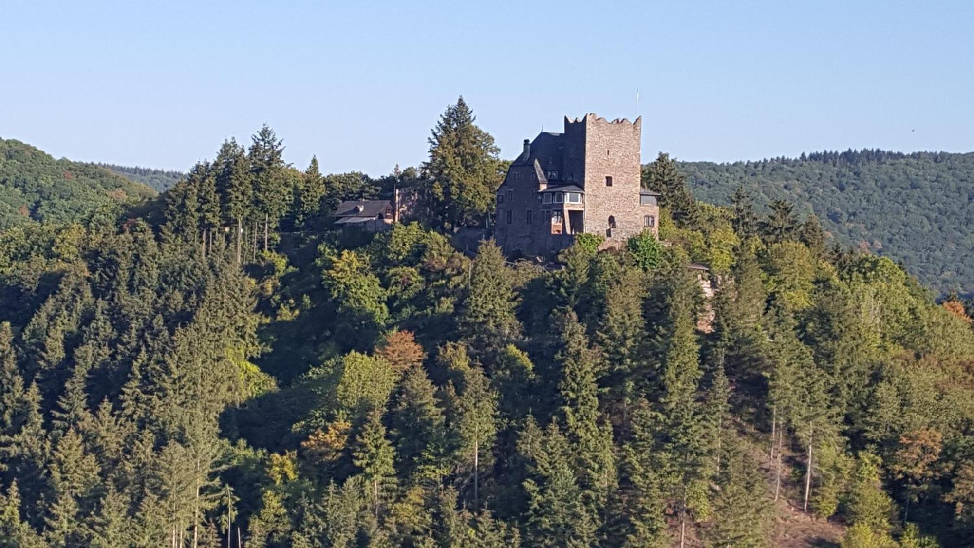 Ferienwohnung Sternenwald 阿尔夫 外观 照片