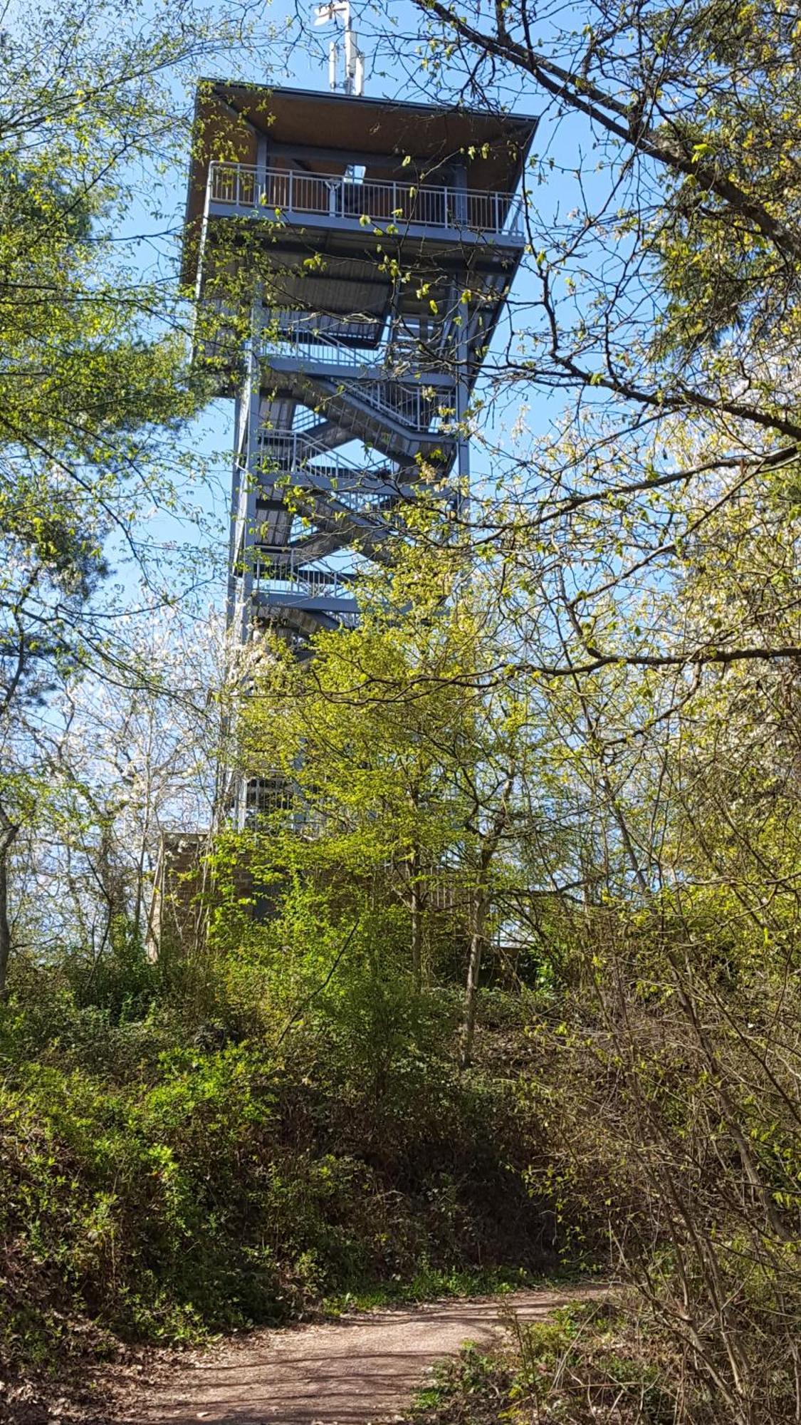 Ferienwohnung Sternenwald 阿尔夫 外观 照片